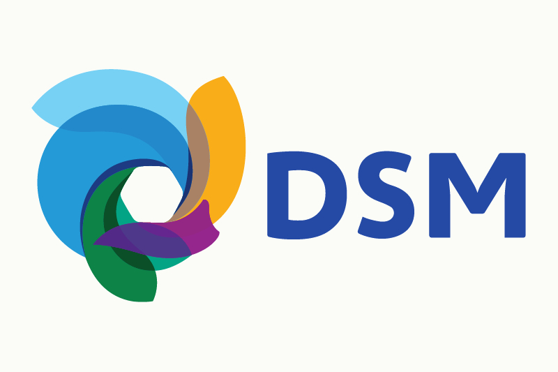 Dsm logo