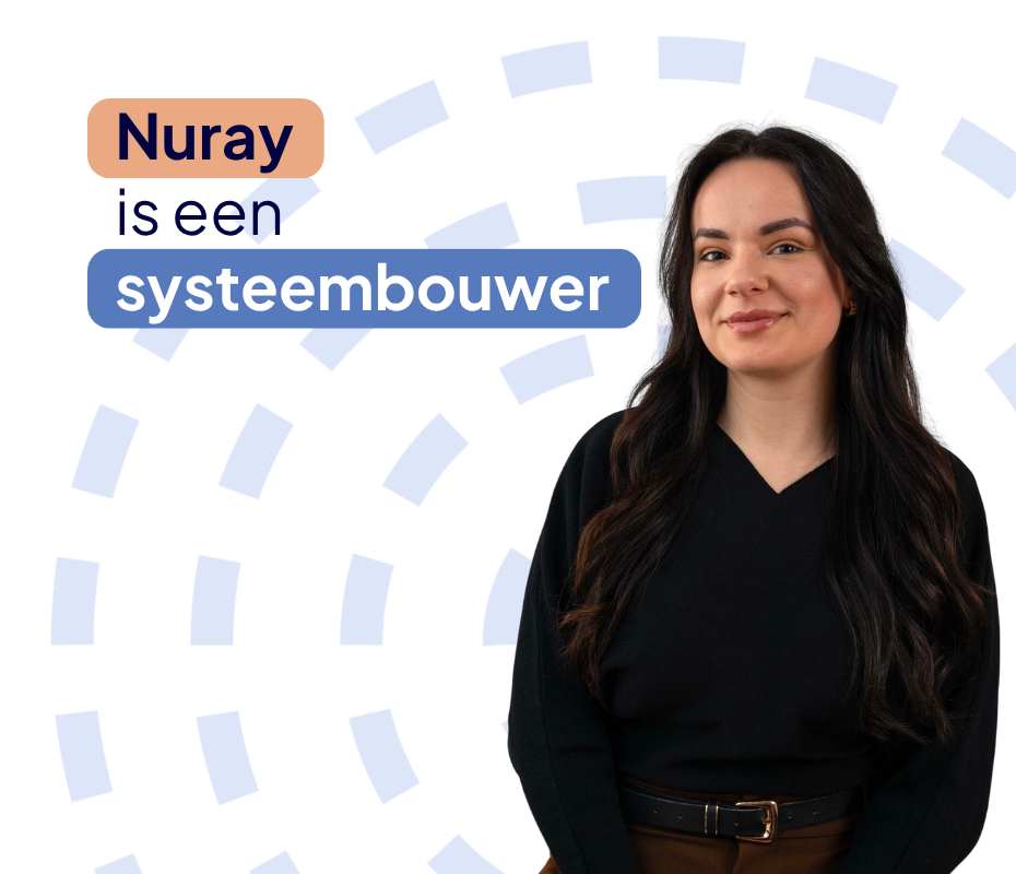 Systeembouwer