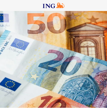 ING case study cover donker